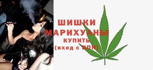 спиды Богородск
