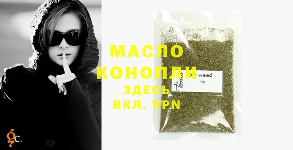 дживик Бородино
