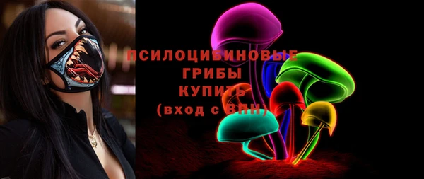 дживик Бородино