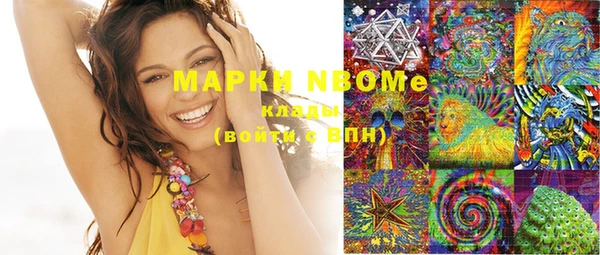 мдпв Бронницы