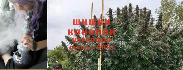 мдпв Бронницы