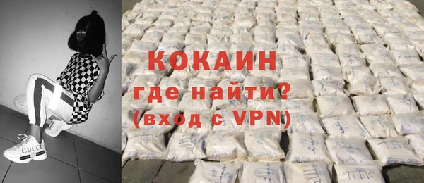 дживик Бородино