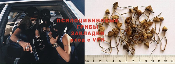 кокаин Богданович
