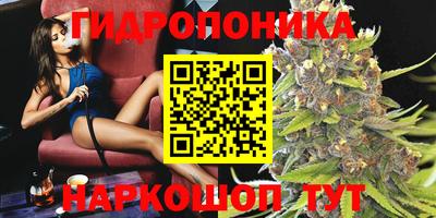 spice Лесосибирск