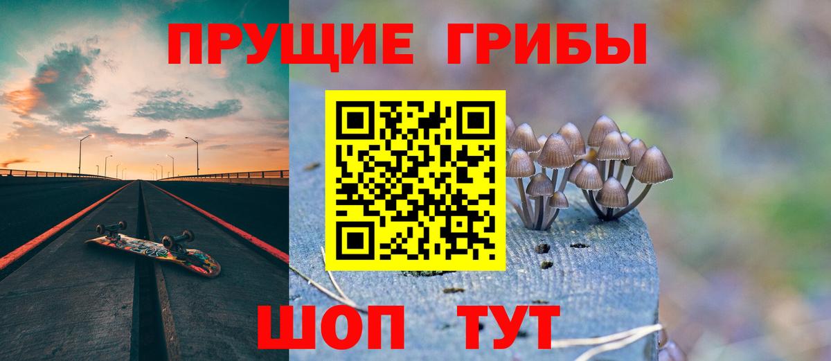 Дагестанские Огни  Псилоцибиновые грибы Psilocybine cubensis  Вход с VPN 